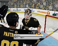 Goalie Boston Bruins. Zane McIntyre