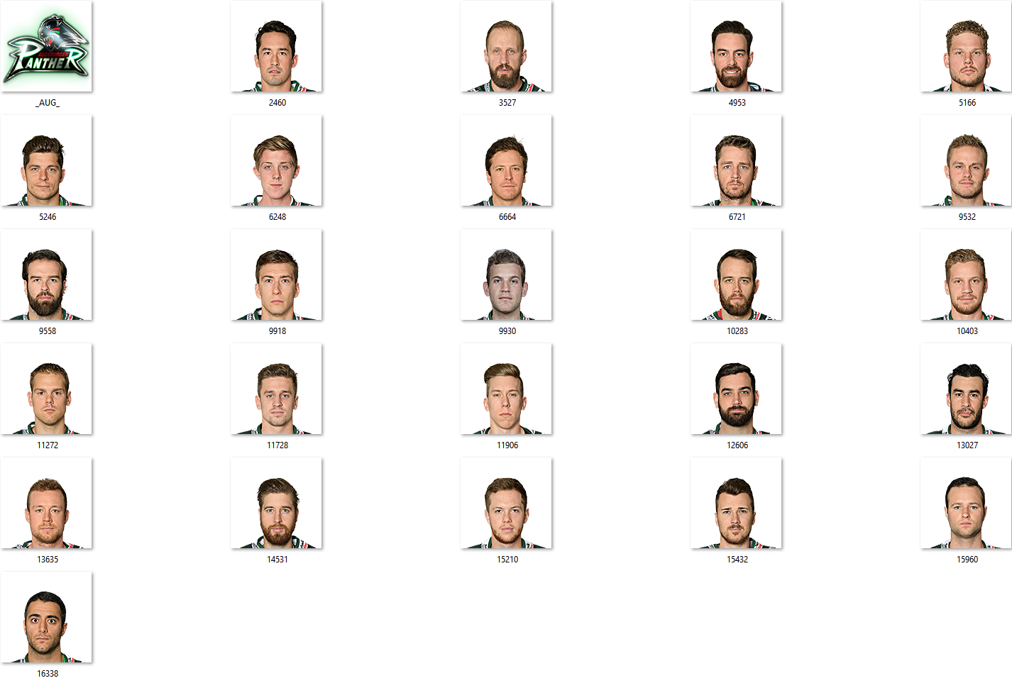 DEL Facepack 2017-2018