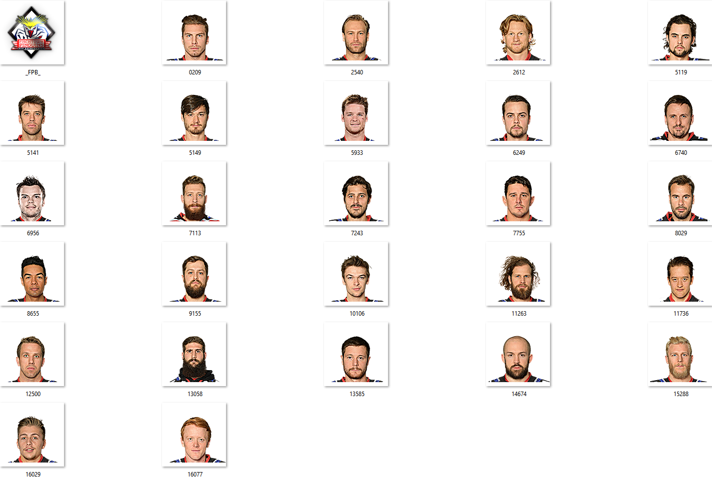 Fischtown Pinguins Facepack 2017-2018
