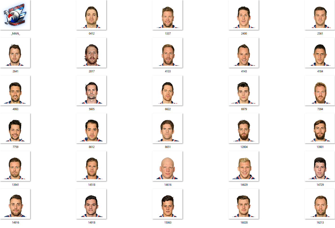 Adler Mannheim Facepack 2017-2018