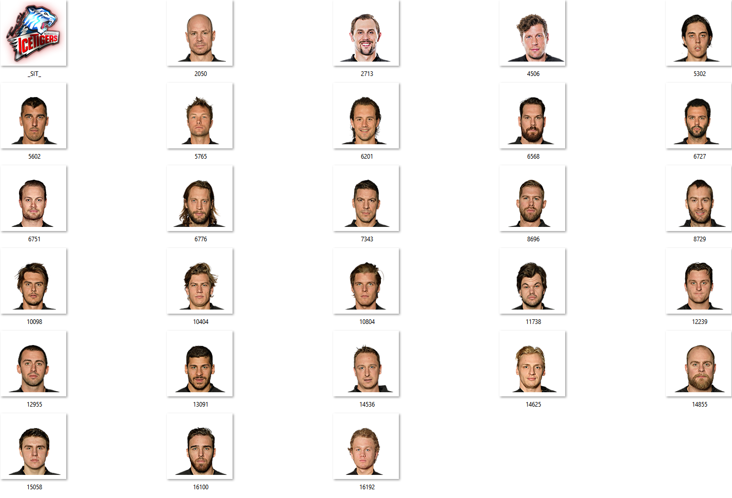 Nürnberg Ice Tigers Facepack 2017-2018