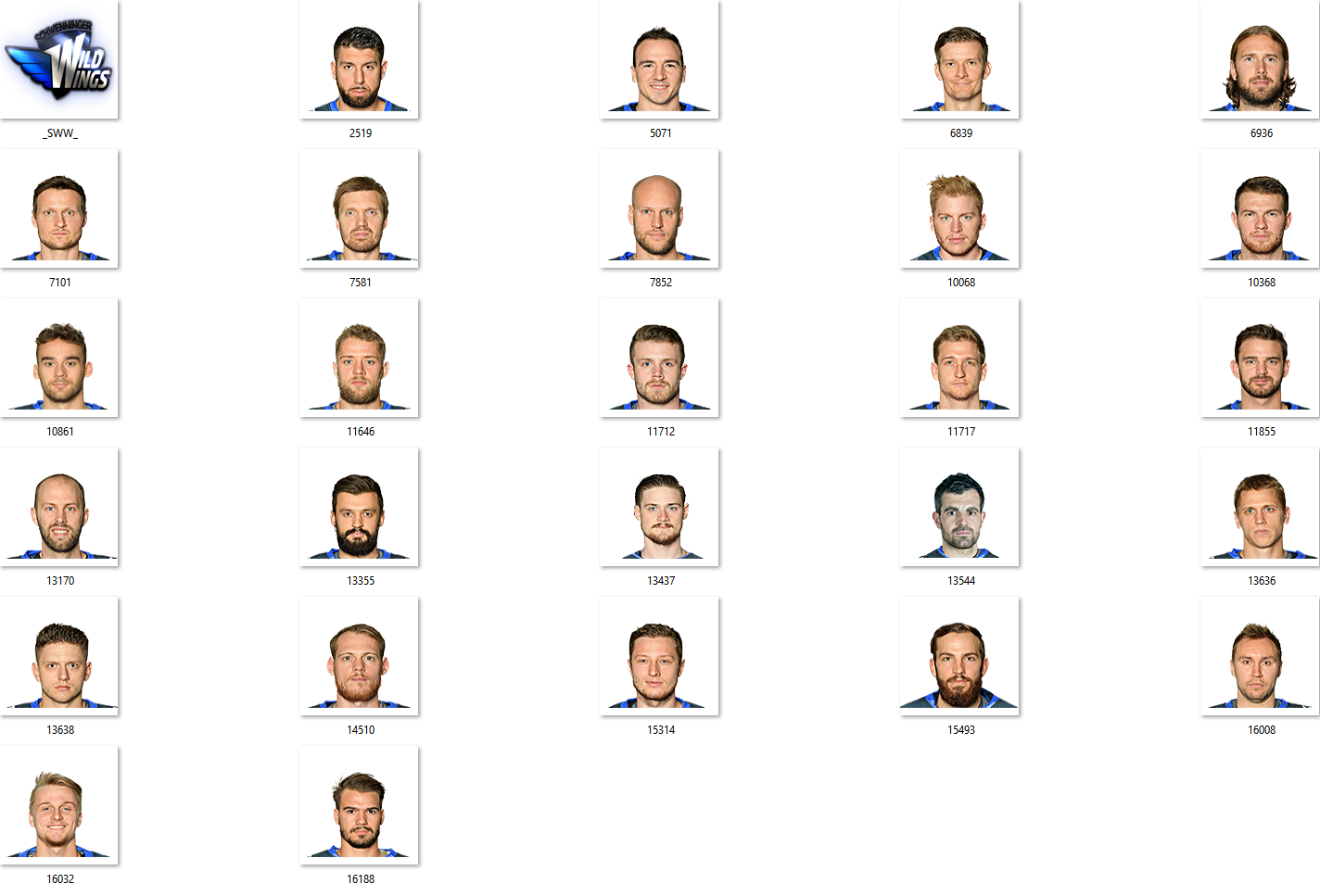 Schwenninger Wild Wings Facepack 2017-2018