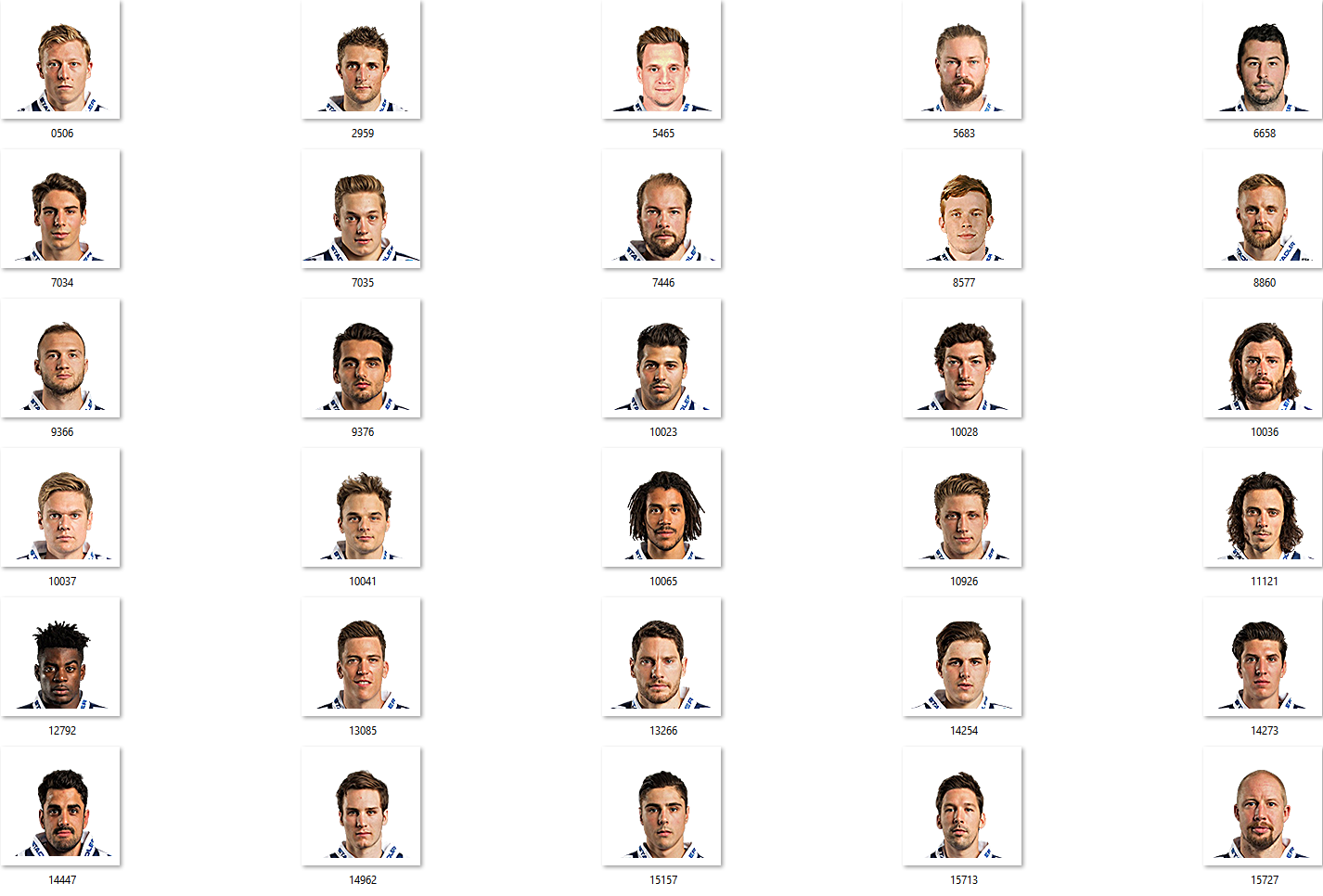 ZSC Lions Facepack 2017-2018