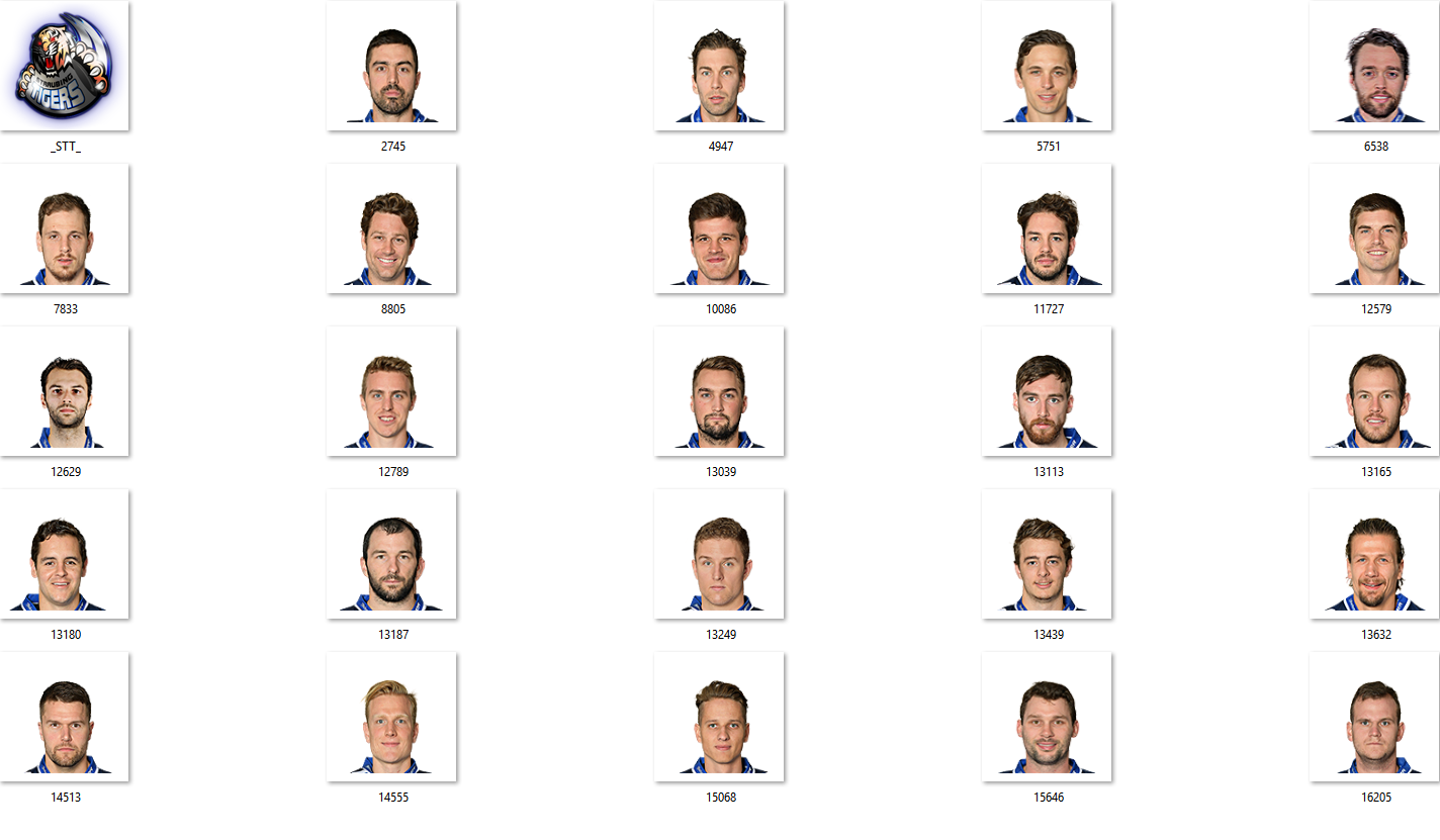 Straubing Tigers Facepack 2017-2018