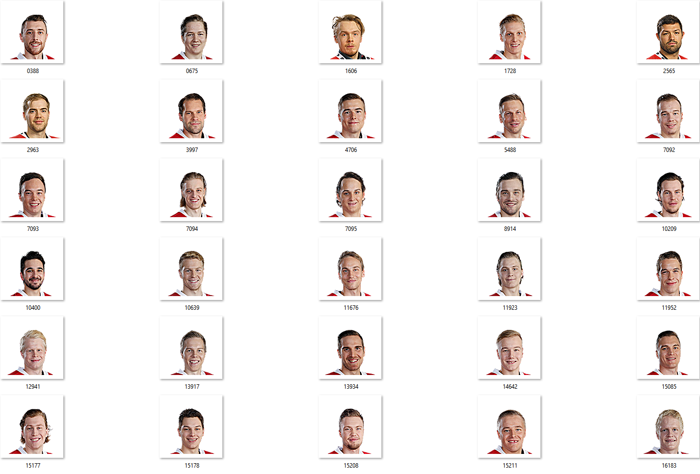 Sport Facepack 2017-2018