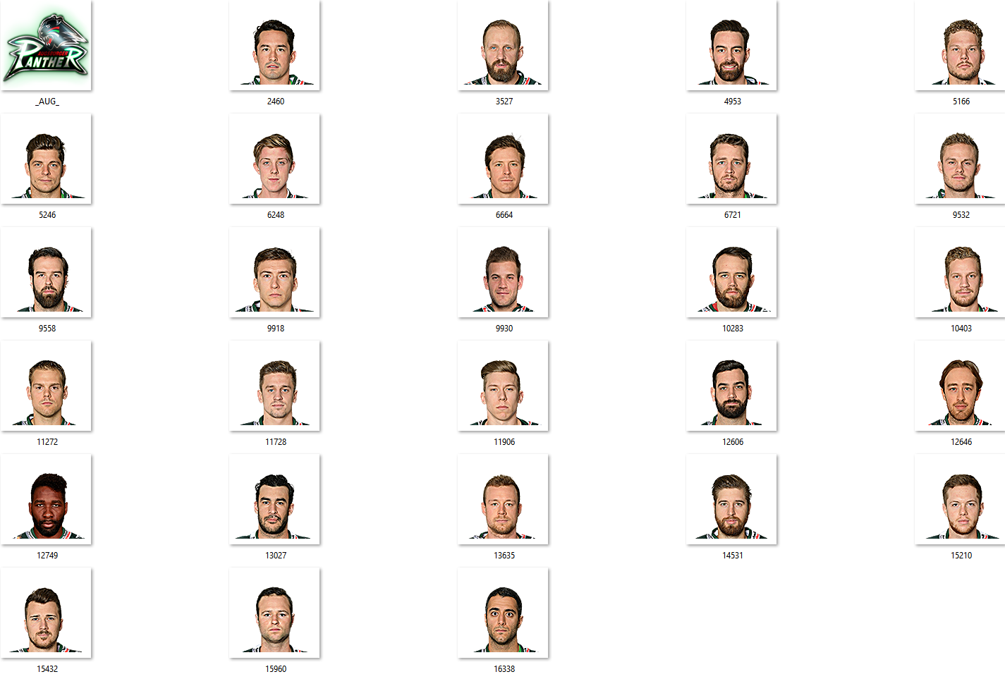 Augsburger Panther Facepack 2017-2018