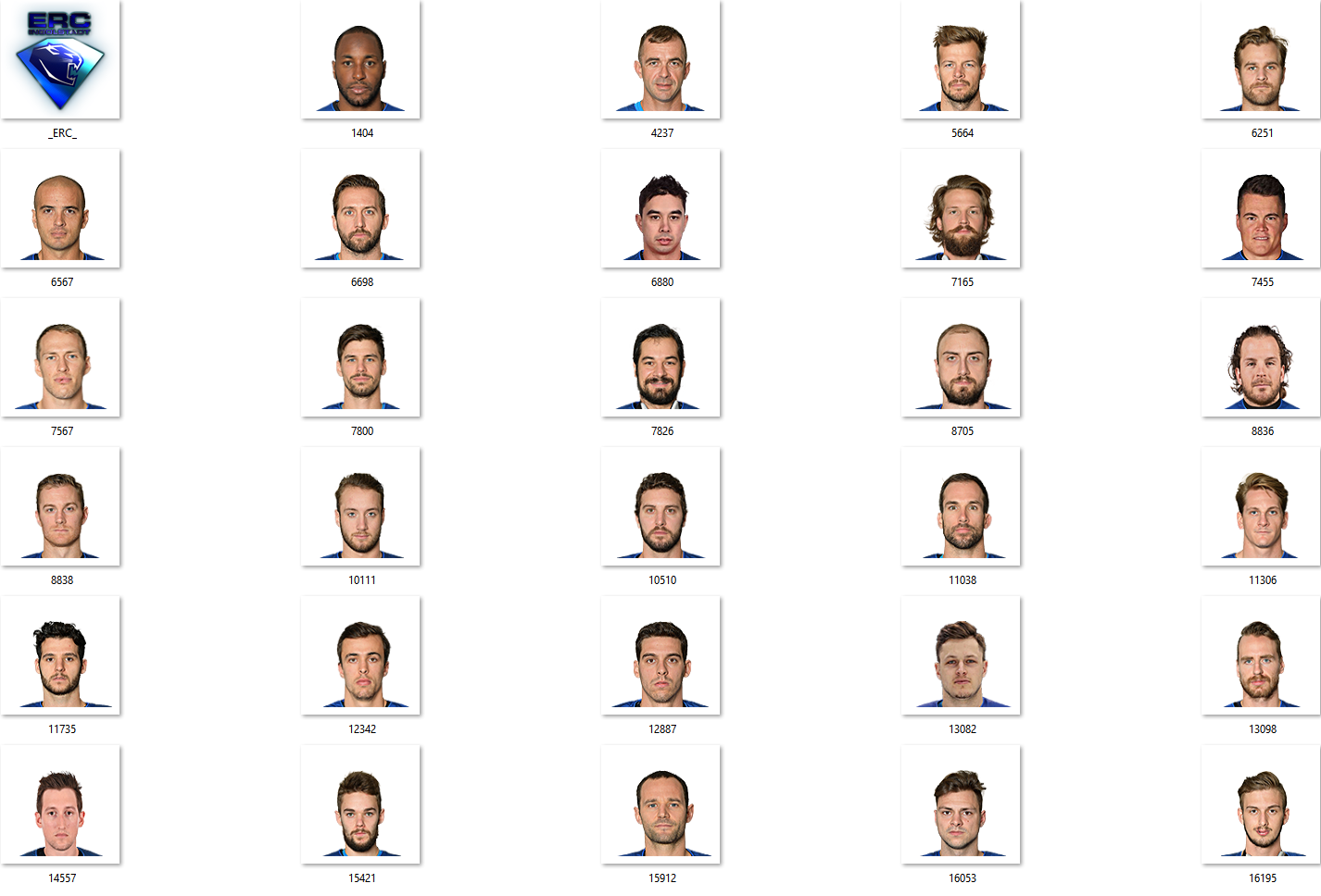 ERC Ingolstadt Facepack 2017-2018