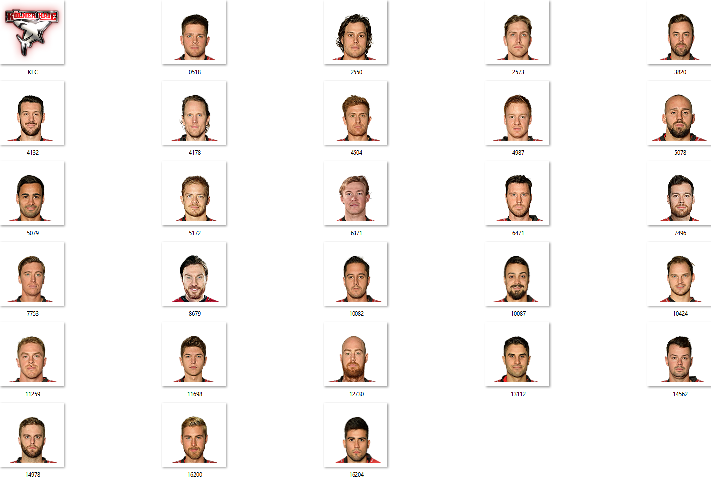 Kölner Haie Facepack 2017-2018