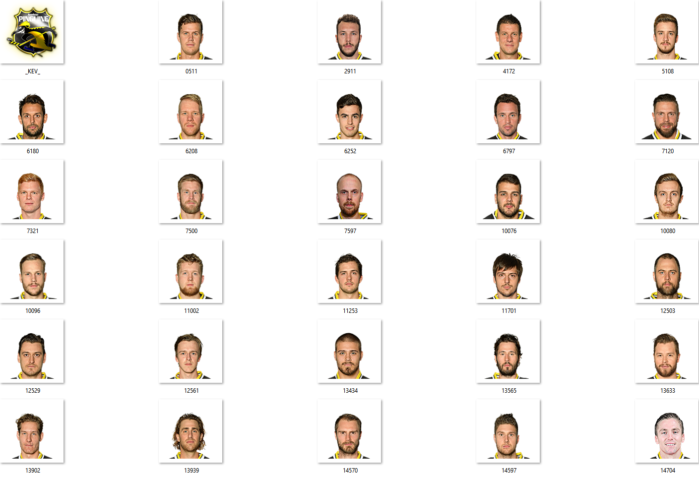 Krefeld Pinguine Facepack 2017-2018