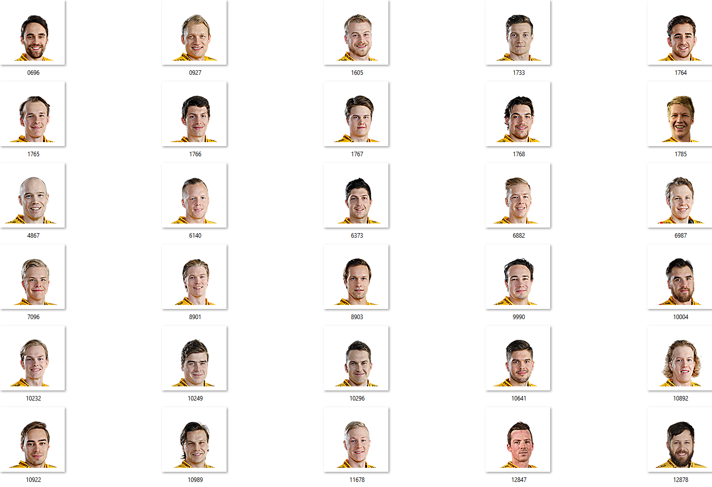 SaiPa Facepack 2017-2018
