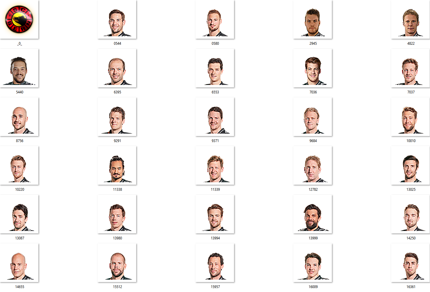 SC Bern Facepack 2017-2018