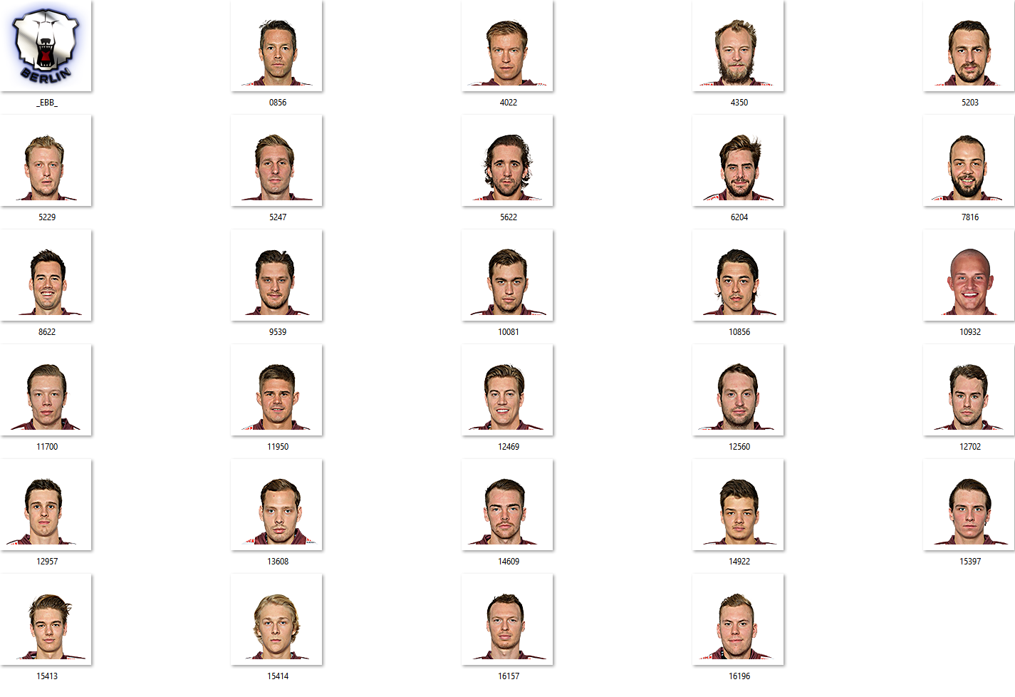 Eisbären Berlin Facepack 2017-2018