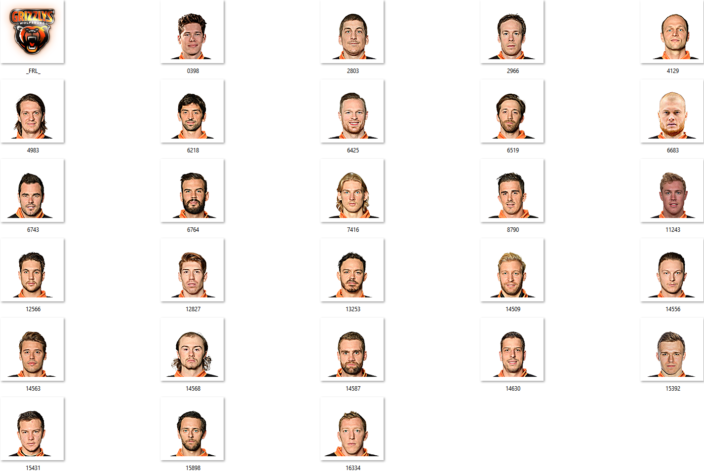 Grizzlys Wolfsburg Facepack 2017-2018