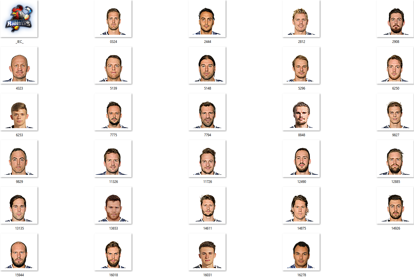 Iserlohn Roosters Facepack 2017-2018