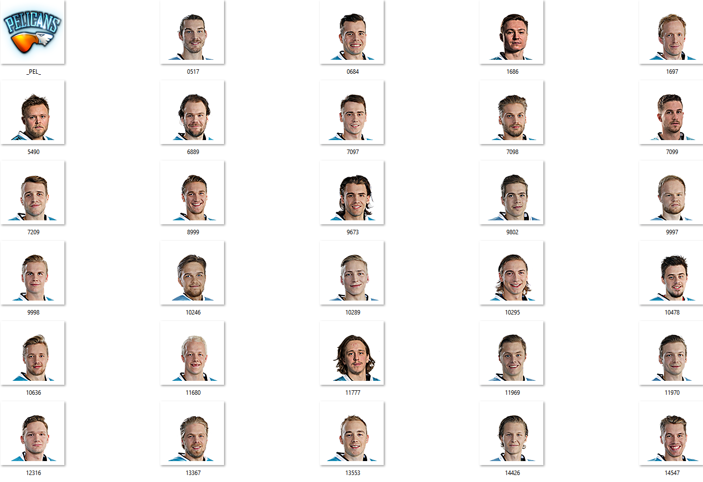 Pelicans Facepack 2017-2018