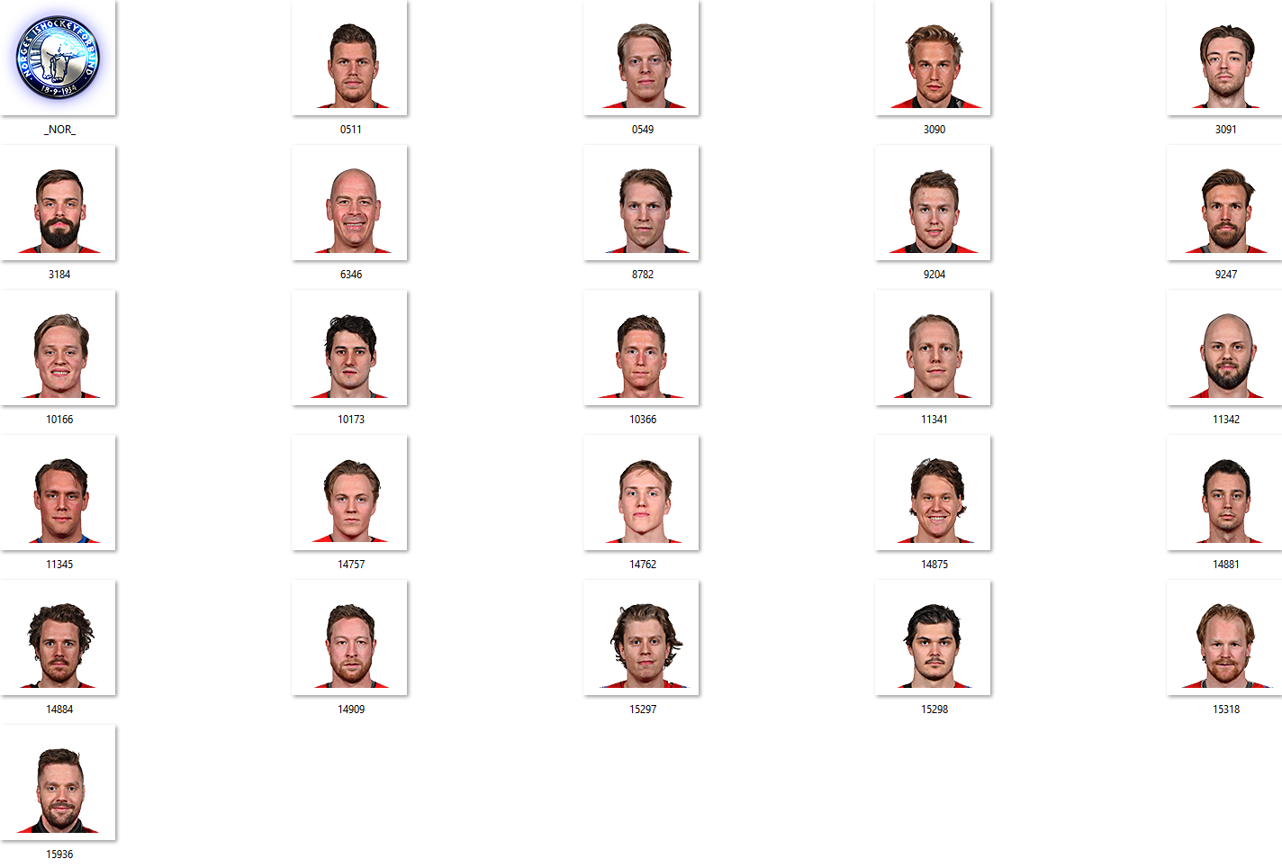 IIHF 2018 NOR Facepack