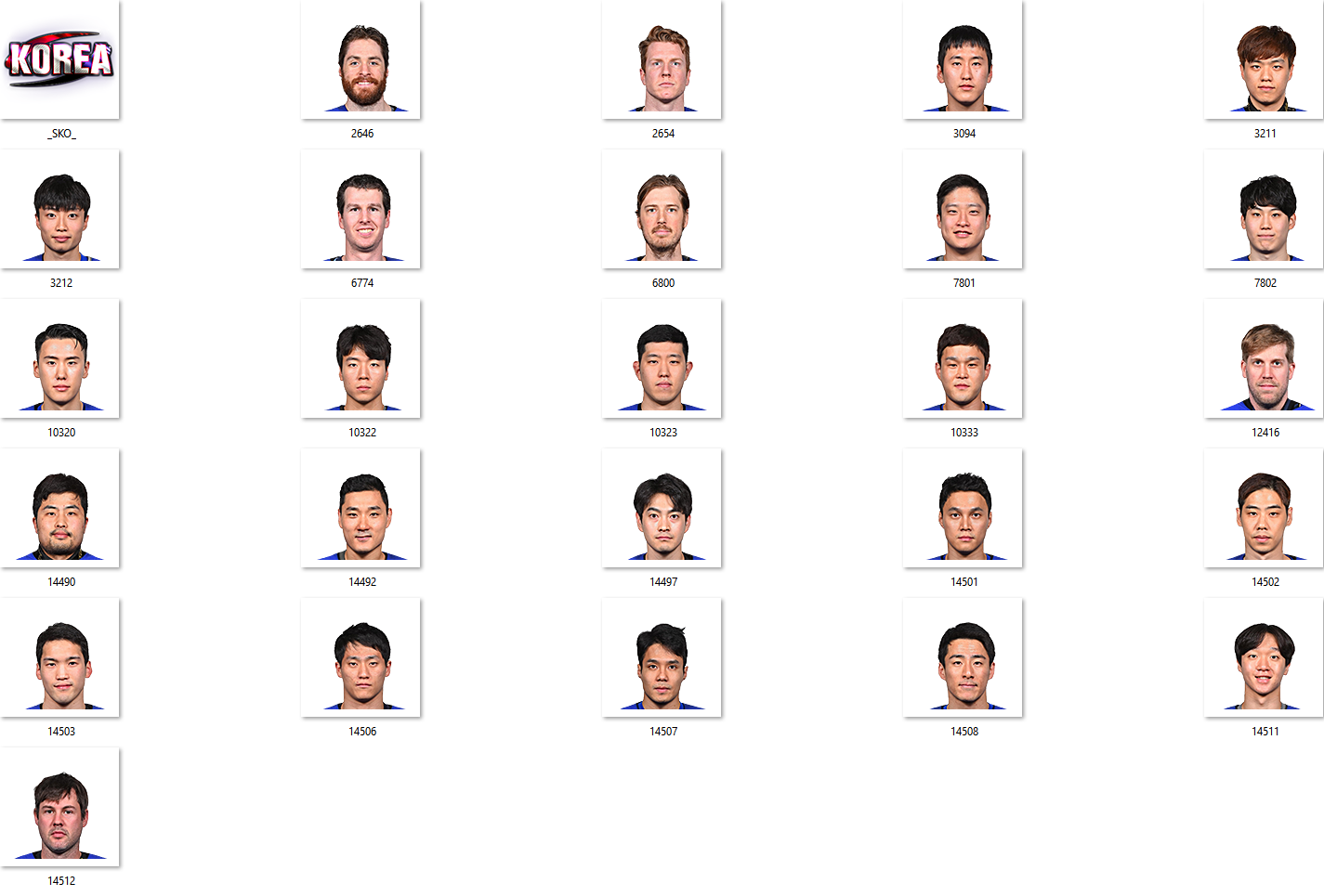IIHF 2018 South Korea Facepack