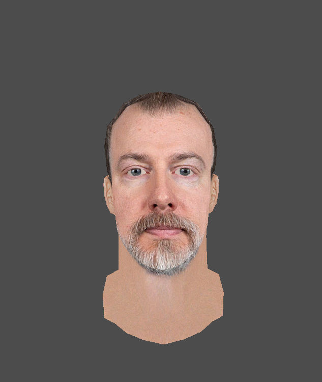 Rikard Groenborg cyberface