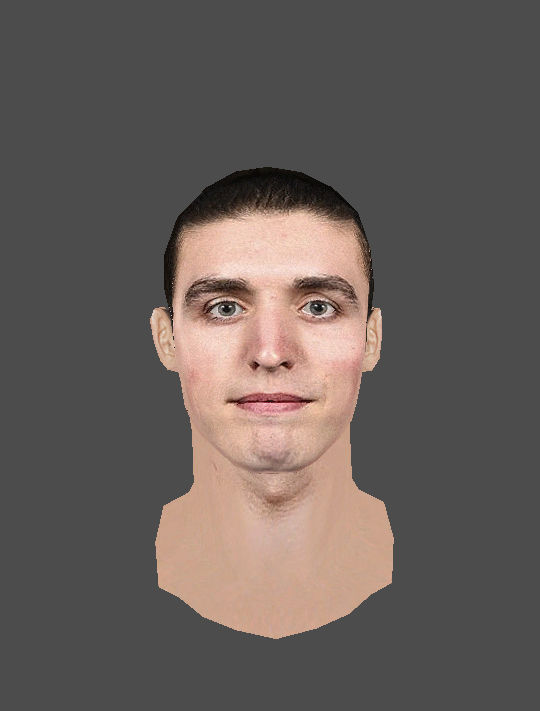 Jackson Whistle cyberface