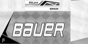 Bespalov19-Stick.png