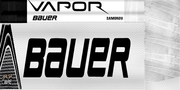 Samonov19-Stick.png