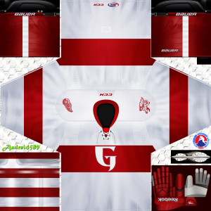 DRW-Winter-Classic-2008-09.thumb.png.441