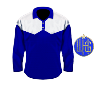 Torfs Team Dinamo 1949 blue.png