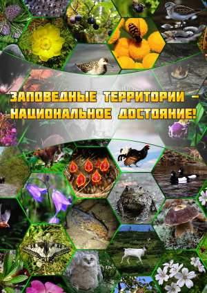 Без_имени-1.thumb.png.4077e369b4