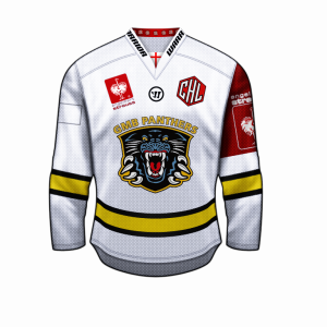 Nottingham_Panthers_Away.thumb.png.95245