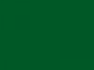 55ba757785631__-1.thumb.png.76fad3b9b660
