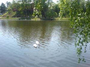 DSC01400.thumb.JPG.33e271378063575338a17