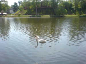 DSC01401.thumb.JPG.e1f776775bc100838b933
