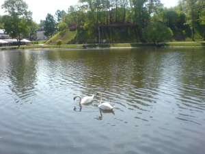 DSC01402.thumb.JPG.7bdef6bd9027af3dfd220