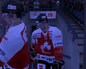 564b3d84b5a37_nhl20092015-11-1717-40-02-