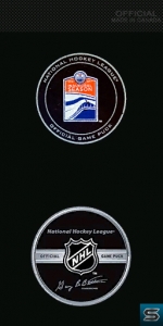 NHL puck.jpg