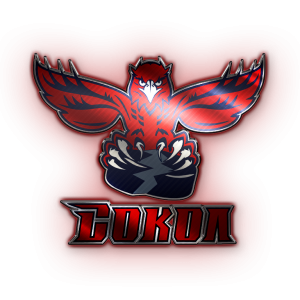 sokol.png