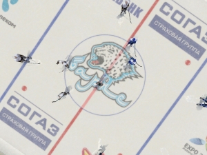 nhl2009 2016-12-11 14-09-26-603.jpg