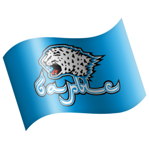 БАРЫС.png