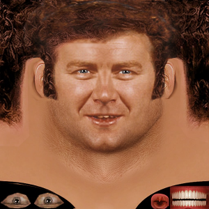 58bcffced527c_2.thumb.png.daf80f5e8339d70cd01e21bd907997f9.png