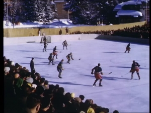 722036642-ice-skating-rink-ice-hockey-player-ice-hockey-game-ice-surface.thumb.jpg.7c8c6affd05065c0a957270e4a957681.jpg