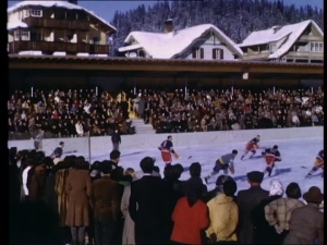 855434118-ice-skating-rink-ice-hockey-player-ice-hockey-game-ice-surface.thumb.jpg.83dc56f4fcdcf45f5e95d61de6484e95.jpg