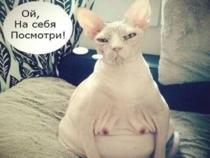 EZsQmkg8Rvk.thumb.jpg.9df39b8b6f0d5e1af79745fa8f5020d9.jpg