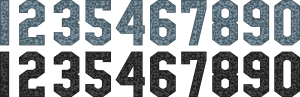 ALL-STAR-NUM 2017.png