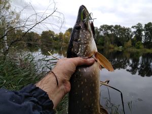 IMG_20170927_104120.jpg