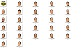 Team_KEV_2018.png