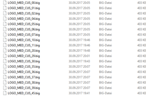 hier.thumb.png.58644a9ea817391871390c36457f81e5.png