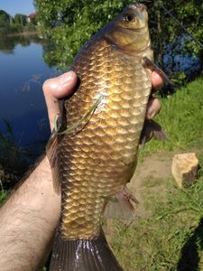 IMG_20180526_102041.jpg