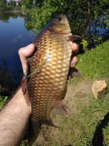 IMG_20180526_102045.jpg