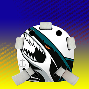 _mask_back_T55.thumb.png.53d257658fc3731880404cad78ece191.png