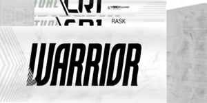 5bbaf104a2002_RaskBOSstick..thumb.png.bd9f601e7d2c2e801c9e0eda051771ae.png